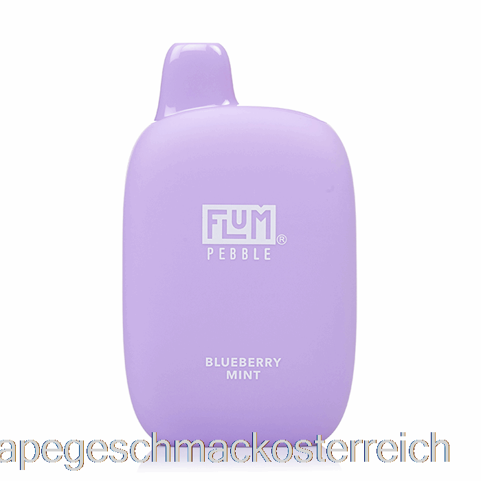 Flum Pebble 6000 Einweg-Blueberry-Mint-Vape-Geschmack
